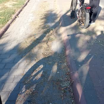 Çanakkale Belediyesi Sorumsuzluğu Yüzünden Lastiklerim Patladı