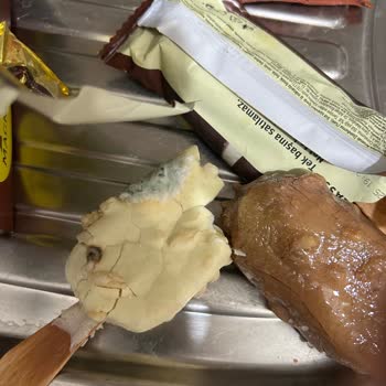 Tarihi Geçmemesine Rağmen Küflenmiş Magnum