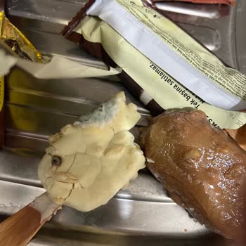 Tarihi Geçmemesine Rağmen Küflenmiş Magnum