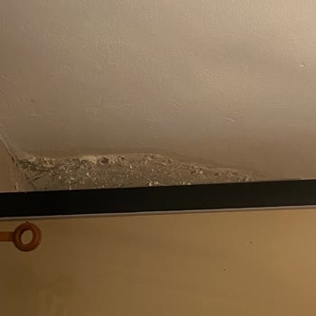 Sompo Sigorta Şirketi İle Yaşadığımız Büyük Hayal Kırıklığı