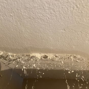 Sompo Sigorta Şirketi İle Yaşadığımız Büyük Hayal Kırıklığı