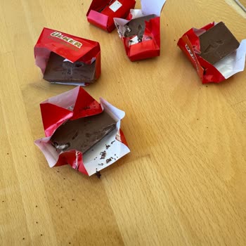 Ülker Böcekli Ve Küflü Çikolata