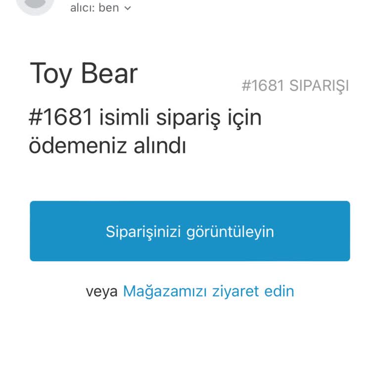 Toy Bear Siparişi Kargoya Vermiyorlar