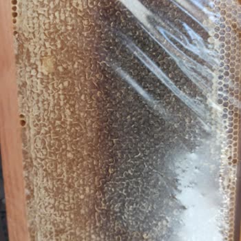 Yurtiçi Kargo Çıta Paketli Bal Gönderimi