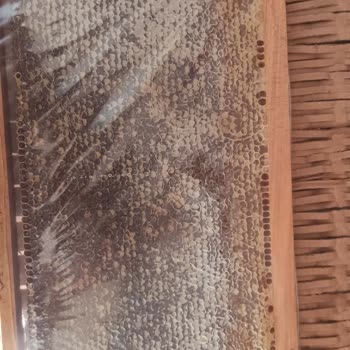 Yurtiçi Kargo Çıta Paketli Bal Gönderimi