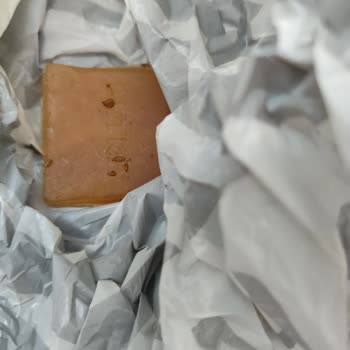 Mi Store Petkit Pura Max Otomatik Kedi Tuvaleti