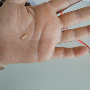 BİM Tost Ekmeğinden Çıkan Sert Plastik Parçası