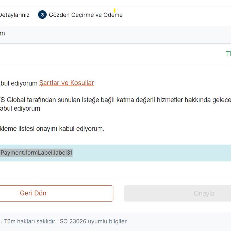 VFS Global Randevu Özet Ekranında Ödeme Hatası