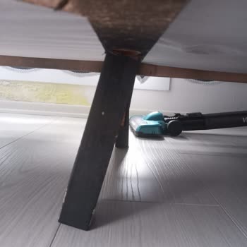 Evaç Aldık Bin Pişman Olduk!