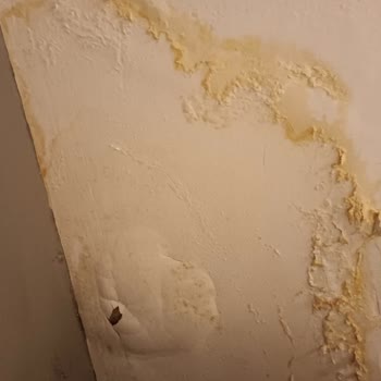 Konut Su Basması Olayında 40 Gündür Güler Ekspertiz Dosya Hazırlamadı