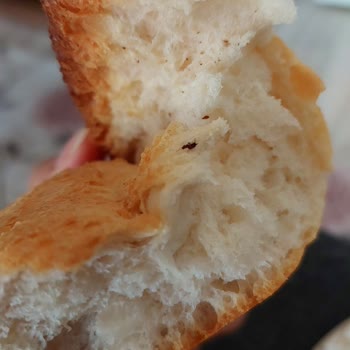 BİM'in Ekmeğinden Böcek Çıktı