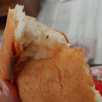 BİM'in Ekmeğinden Böcek Çıktı