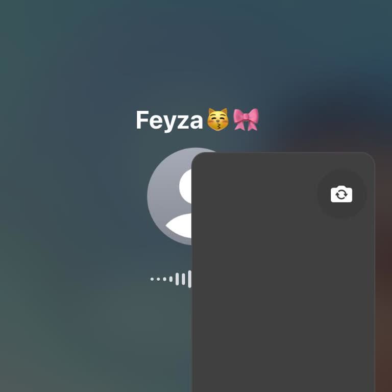 WhatsApp Da Arama Yapamıyorum