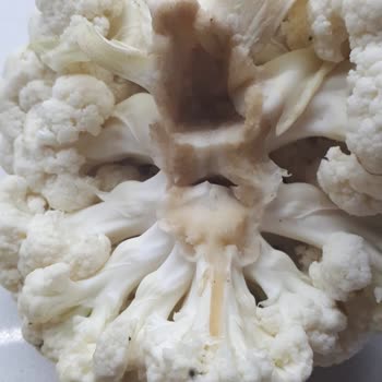 Yemek Sepeti'nde Eksik Ve Çürük Ürünler Sorunu