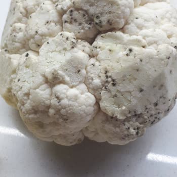 Yemek Sepeti'nde Eksik Ve Çürük Ürünler Sorunu