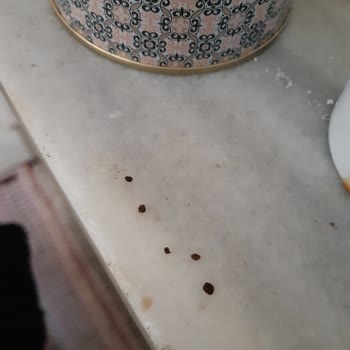 Şok Marketler Şok Marketten Aldığım Kahvede Plastik Parçalar Çıktı