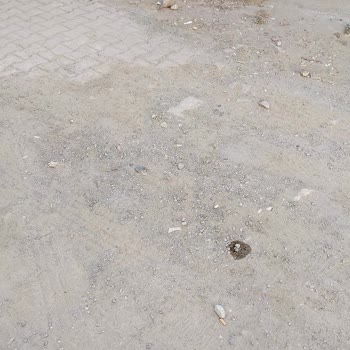 Gömeç Belediyesi Köyden Beter Yollar