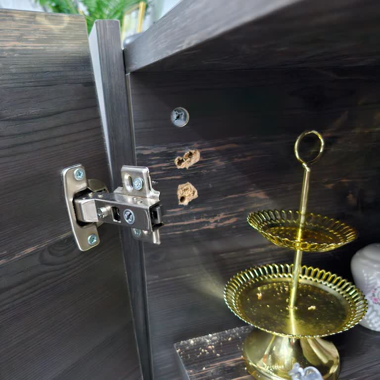 Entepe Mobilya Salon Takımının Sürekli Arızalanması Ve Servis Problemleri