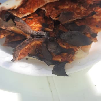 Horrible Experience Booked Through TripAdvisor. Dirty Pools, Bad Food, and Poor Service