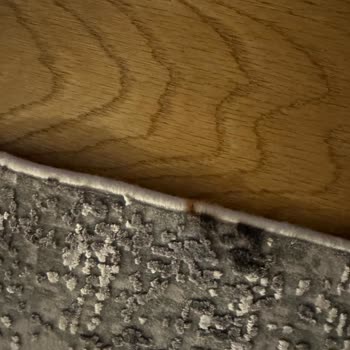 Dry Center Kuru Temizleme Halımı Yıkamak Yerine Daha Da Kirletip Bir De Yaktılar