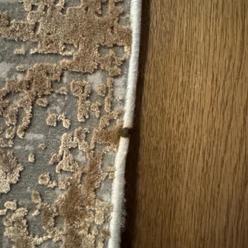 Dry Center Kuru Temizleme Halımı Yıkamak Yerine Daha Da Kirletip Bir De Yaktılar