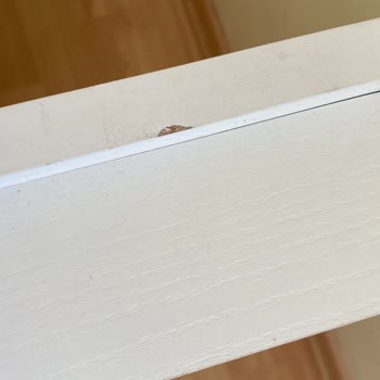 Çetmen Mobilya'dan Aldığım Gardırop Hatalı Ve Kurulamadı