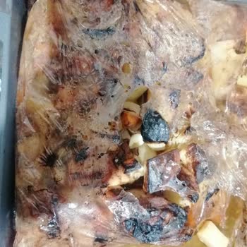 Dolphin Fırın Torbası Yemeğin Üzerinde Eridi