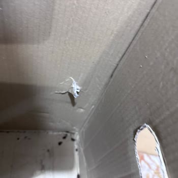 Tezel Elektronik Servis Garantim Olmasına Rağmen Para Talep Ediyor