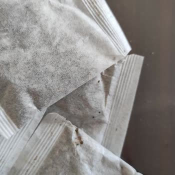 Cliniva Kozmetik Trendyol'dan Aldığım Ürünlerde Böcek Sorunu Ve İade Süreci Kabusu