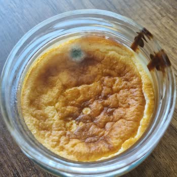 Coquette Pasta Atölyesi Küflü Cheesecake Satıyorlar!