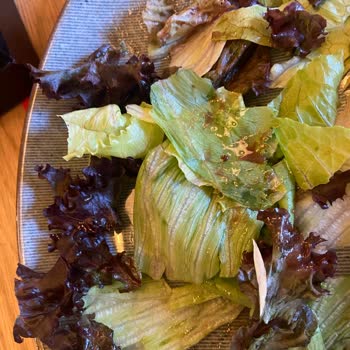 Happy Moon's Tarafından Servis Edilen Olumsuz Deneyimler