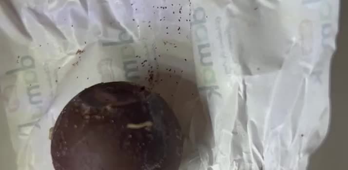 Nestle Damak Çikolata