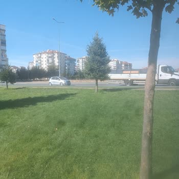 Melikgazi Belediyesi Üst Geçit Veya Işık İstiyoruz