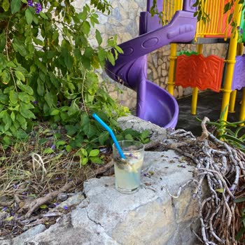 Delta Hotels Marriott Bodrum Marriott Hotel'de Cam Parçalı Tatlı Ve İlgisizlik