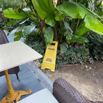 Delta Hotels Marriott Bodrum Marriott Hotel'de Cam Parçalı Tatlı Ve İlgisizlik