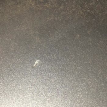 Hecha Ömür Boyu Garanti