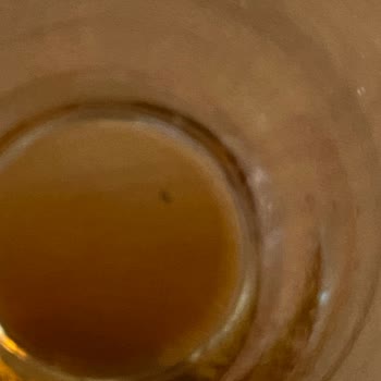 Lipton ice Tea Lipton Ice Tea Şeftali Sinek Skandalı