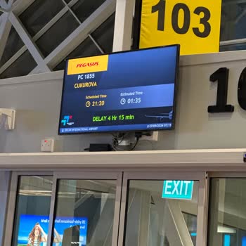 Pegasus'un Rötar Yapıp Durması Ve İlgisizliği