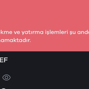 Paribu Kasıtlı Olarak Reef Coin Değerini Düşürüyor