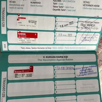 Anadolu Sigorta Patim Güvende Hasar Ödemedi