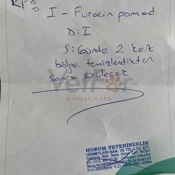 Anadolu Sigorta Patim Güvende Hasar Ödemedi
