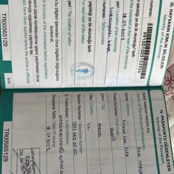 Anadolu Sigorta Patim Güvende Hasar Ödemedi