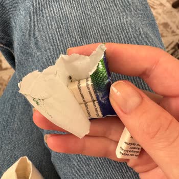 A101 Marketinden Aldığım Sakızda Böcek Çıktı