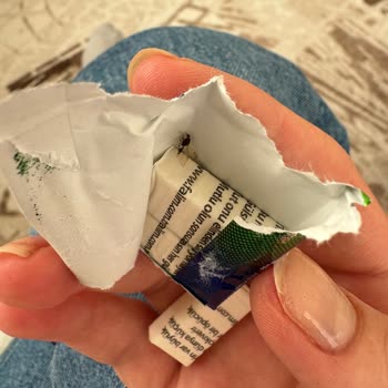 A101 Marketinden Aldığım Sakızda Böcek Çıktı