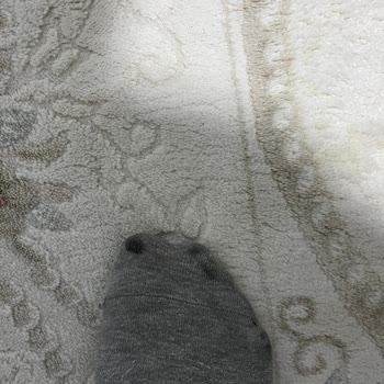 Boyner Jack Wolfskin Marka Ayakkabı Boya Verdi.