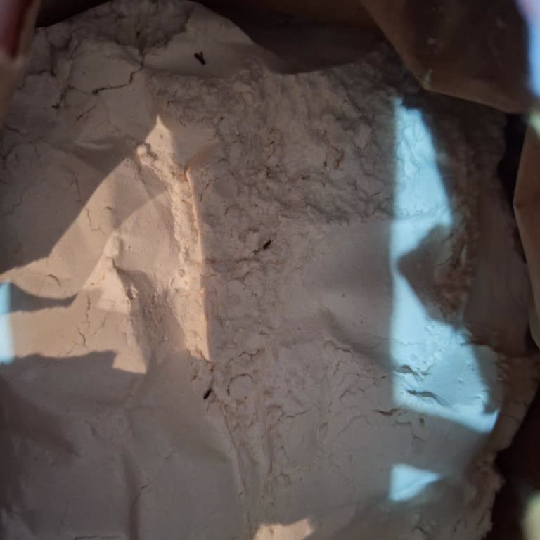 Bursa Carrefour AVM @Carrefour SA Kendi Ürünü Olan Un Böcekli Çıktı!