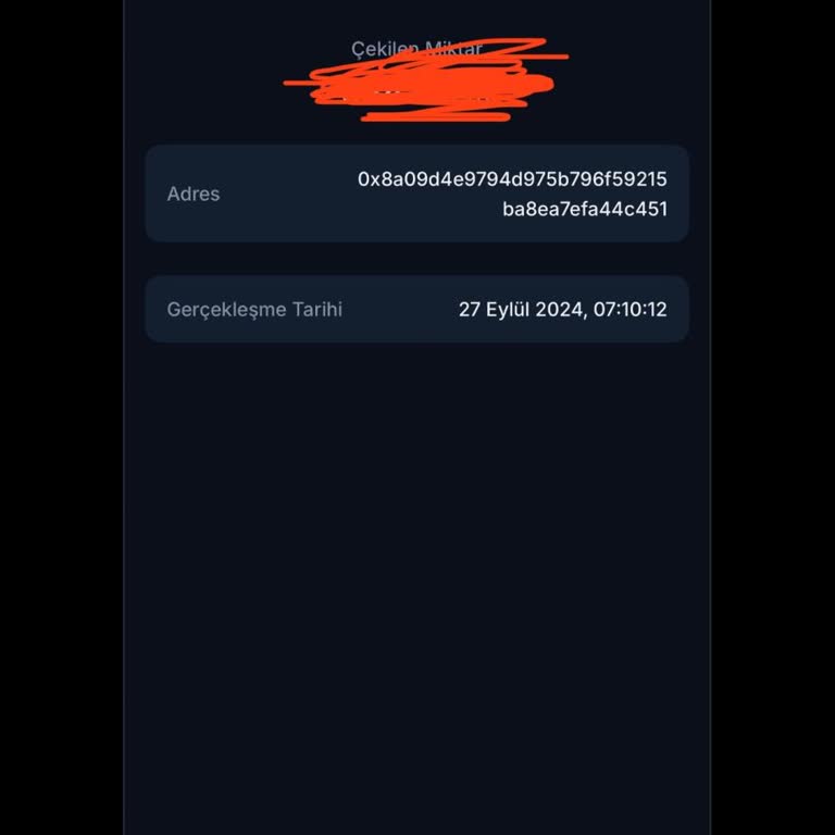 BTC Türk Çekim Sorunu