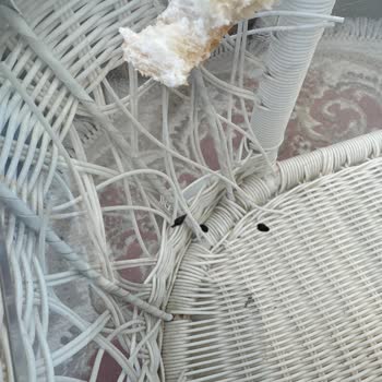 Ekmekçi Market Market Ekmeğinde Fare Dışkısı Sorunu