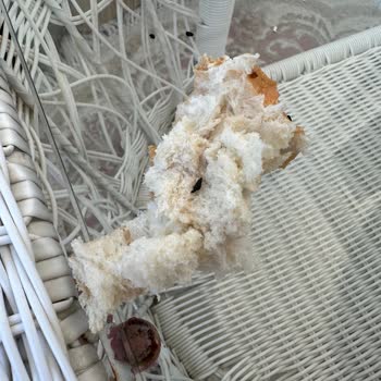 Ekmekçi Market Market Ekmeğinde Fare Dışkısı Sorunu