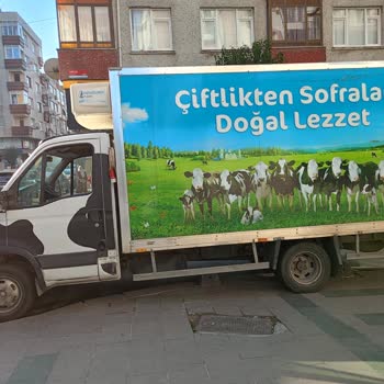 Sütaş Firması İnsan Hayatını Tehlikeye Atıyor